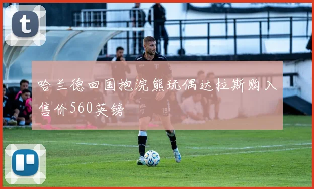 哈兰德回国抱浣熊玩偶达拉斯购入售价560英镑
