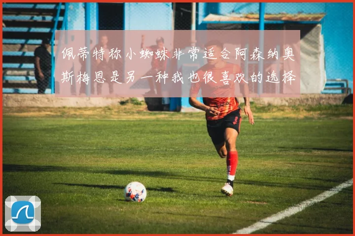 佩蒂特称小蜘蛛非常适合阿森纳奥斯梅恩是另一种我也很喜欢的选择
